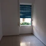 Rent 5 bedroom apartment of 130 m² in Pescara