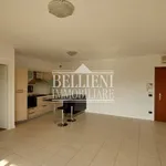 Rent 3 bedroom apartment of 85 m² in Vicenza