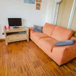 Rent 1 bedroom apartment of 45 m² in bologna