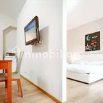 Rent 1 bedroom apartment of 40 m² in Turin