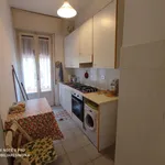 Affitto 3 camera appartamento di 65 m² in Viareggio