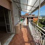 Rent 4 bedroom apartment of 110 m² in Colleferro