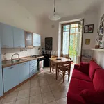 Rent 3 bedroom apartment of 80 m² in Torino