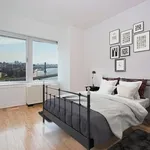 Rent 3 bedroom apartment in New York