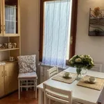 Rent 1 bedroom apartment of 60 m² in florence