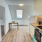 Rent 1 bedroom house in České Budějovice