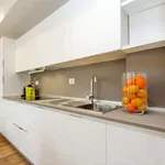 Rent 1 bedroom apartment of 484 m² in Rome