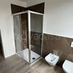 Rent 3 bedroom apartment of 85 m² in Pavia