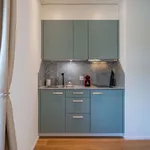 Rent 1 bedroom apartment of 20 m² in Zürich