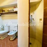 Rent 3 bedroom apartment of 80 m² in Lucca