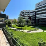 Rent 3 bedroom apartment of 90 m² in Pescara