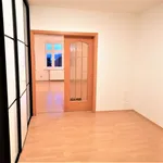 Rent 3 bedroom apartment in Prague