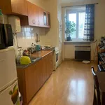 Rent 1 bedroom apartment in Brno