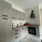 Rent 1 bedroom apartment of 38 m² in Saronno