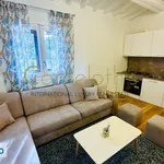 Rent 4 bedroom apartment of 82 m² in Florence