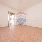 Rent 3 bedroom apartment of 100 m² in Civitavecchia