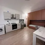 Rent 1 bedroom apartment of 25 m² in San Francesco al Campo