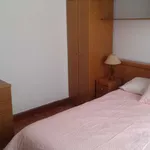 Rent a room in pamplona