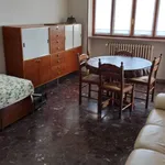 Rent 3 bedroom apartment of 80 m² in Torino