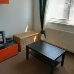 Pronajměte si 1 ložnic/e byt o rozloze 40 m² v Prague