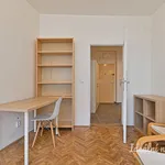 Rent 2 bedroom apartment in Brno