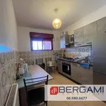 Rent 4 bedroom apartment of 110 m² in Anzio