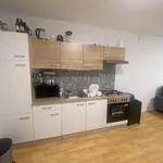 Rent 1 bedroom apartment of 55 m² in Kirchberg am Wechsel