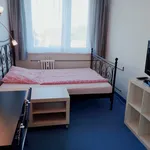 Pronajměte si pokoj o rozloze 80 m² v Prague