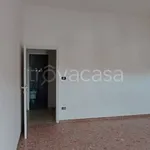 Rent 3 bedroom apartment of 90 m² in Frosinone