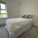 Rent 3 bedroom house in Wareham