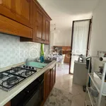 Rent 2 bedroom apartment of 57 m² in Reggio nell'Emilia