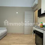 Rent 1 bedroom apartment of 40 m² in Piacenza