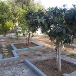 Ενοικίαση 2 υπνοδωμάτιο σπίτι από 78 m² σε Kalyvia Thorikou Municipal Unit