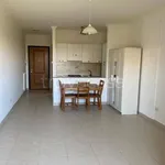 Rent 1 bedroom apartment of 35 m² in Roma