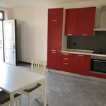 Rent 2 bedroom apartment of 55 m² in Piacenza