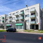 Pronajměte si 1 ložnic/e byt o rozloze 43 m² v Pilsen