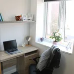 Rent 1 bedroom apartment in Leicester