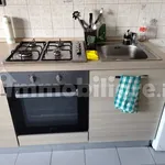 Rent 2 bedroom apartment of 50 m² in Turin