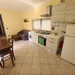 Rent 3 bedroom apartment of 60 m² in Roma