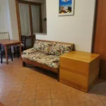 Rent 2 bedroom apartment of 50 m² in Borgo San Lorenzo