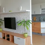 Pronajměte si 2 ložnic/e byt o rozloze 77 m² v Prague