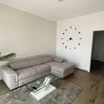 Rent 3 bedroom apartment of 80 m² in Pinerolo