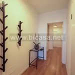 Rent 3 bedroom apartment of 132 m² in Pesaro