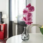 Rent 2 bedroom apartment of 42 m² in Düsseldorf