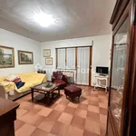 Rent 5 bedroom apartment of 110 m² in Perugia