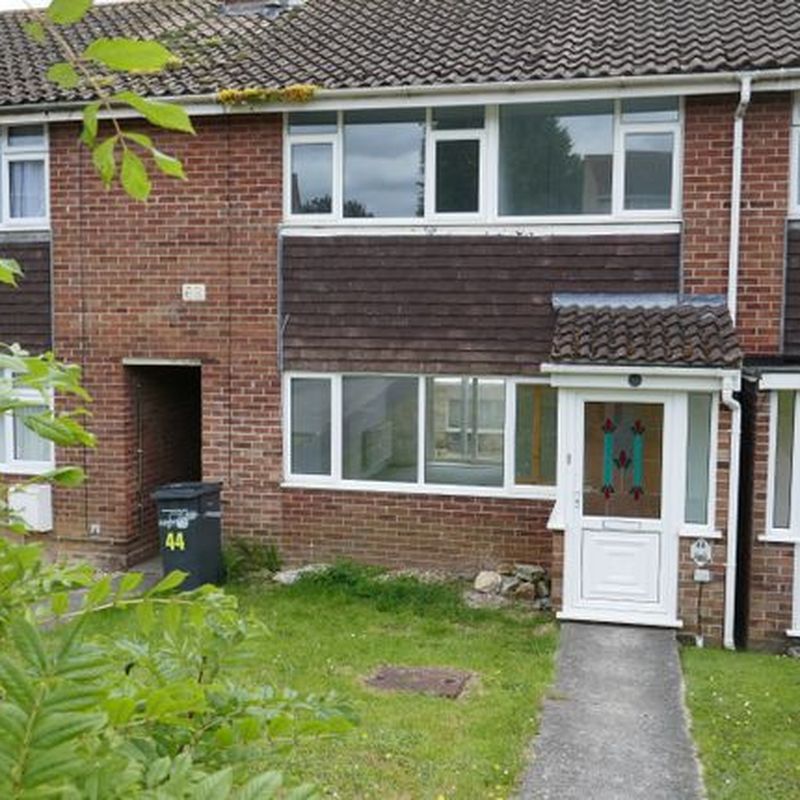 Terraced house to rent in St Marys Crescent, Yeovil BA21 New Town