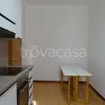 Rent 3 bedroom apartment of 90 m² in Segrate