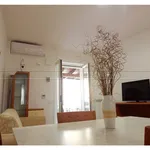 Rent 2 bedroom apartment of 55 m² in Lecce