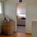 Rent 2 bedroom apartment in Zurich