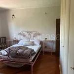 Rent 4 bedroom apartment of 100 m² in Montalto di Castro